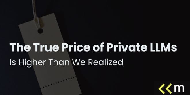 The True Price of Private LLMs Is Higher Than We Realized