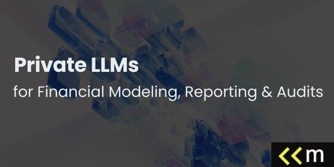 Private LLMs for Financial Modeling, Reporting & Audits