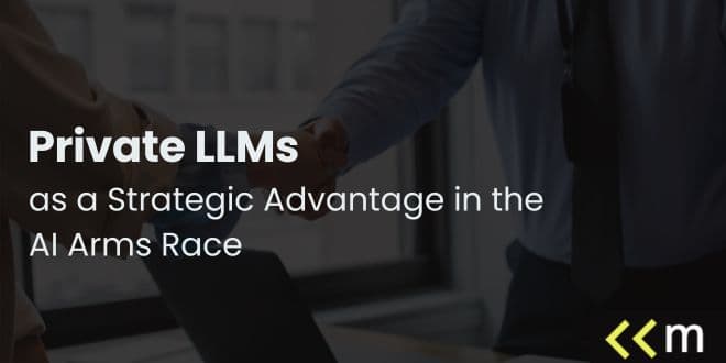Private LLMs as a Strategic Advantage in the AI Arms Race