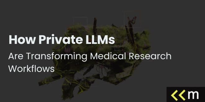 How Private LLMs Are Transforming Medical Research Workflows