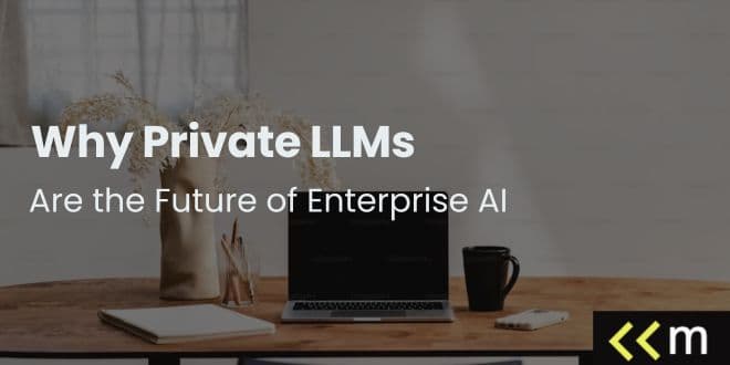 Why Private LLMs Are the Future of Enterprise AI