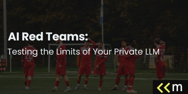 AI Red Teams: Testing the Limits of Your Private LLM
