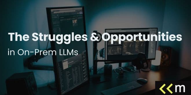 The Struggles & Opportunities in On-Prem LLMs