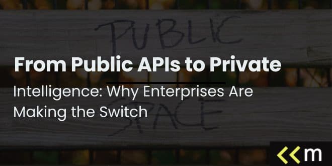 From Public LLM APIs to Private Artificial Intelligence: Why Enterprises Are Making the Switch