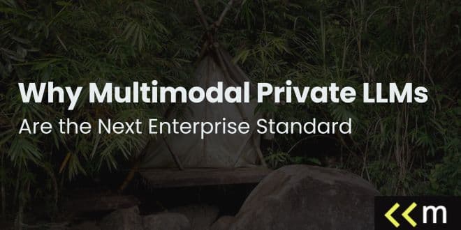 Why Multimodal Private LLMs Are the Next Enterprise Standard